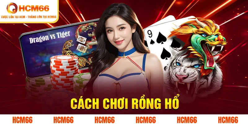 Cách Chơi Rồng Hổ Tăng Tỷ Lệ Thắng 99% Nên Bỏ Túi Ngay 1 cach choi rong ho