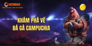 da ga campuchia