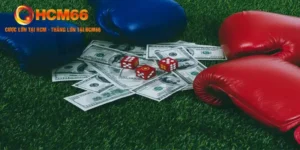 Cá Cược Boxing