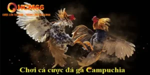 da ga campuchia