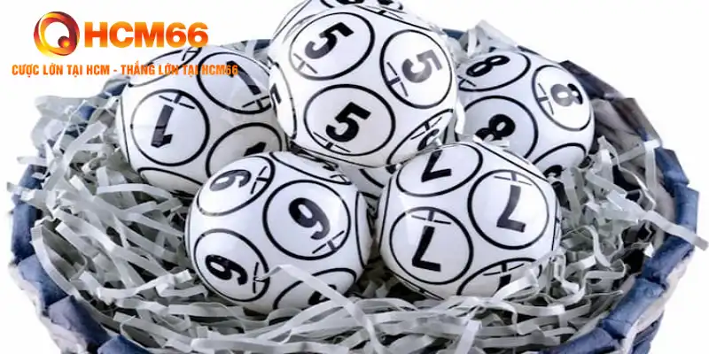 Lô Đề Gan: Những Điều Bạn Cần Biết và Cách Chọn Số Tại HCM66 1 Lô Đề Gan