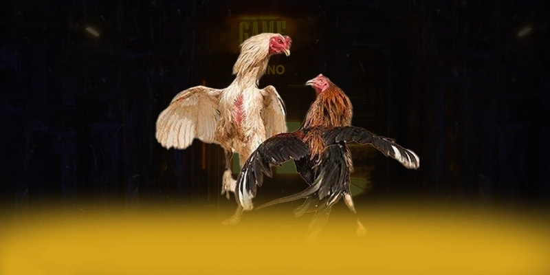 DAGA88 – Sân chơi hàng đầu Việt Nam, được người chơi yêu thích. DAGA88 – Sân chơi hàng đầu Việt Nam, được người chơi yêu thích.