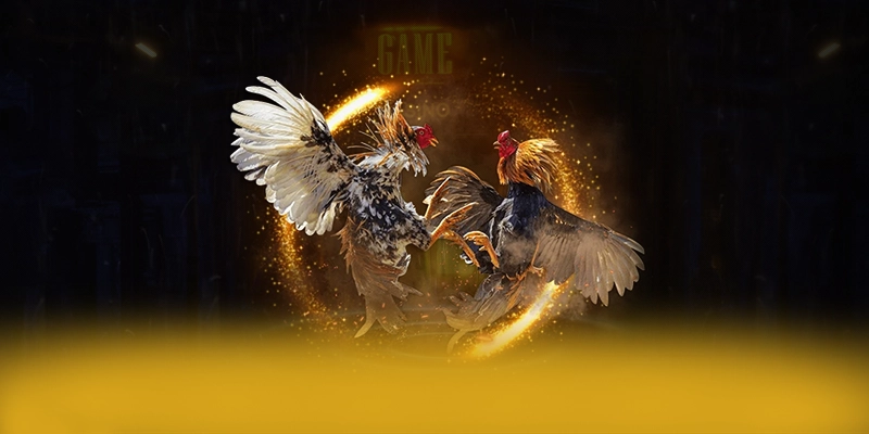 DAGA88 - Tổng quan đánh giá từ cộng đồng game thủ. DAGA88 - Tổng quan đánh giá từ cộng đồng game thủ.