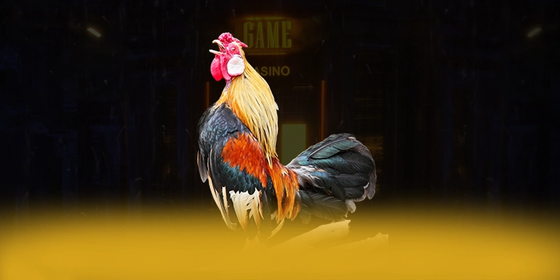 Khám phá hành trình của DAGA88 - Cổng game an toàn tuyệt đối được quan tâm
Khám phá hành trình của DAGA88 - Cổng game an toàn tuyệt đối được quan tâm