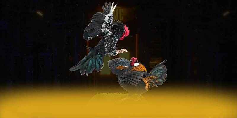 789P - Cổng giải trí ổn định được cộng đồng đánh giá cao