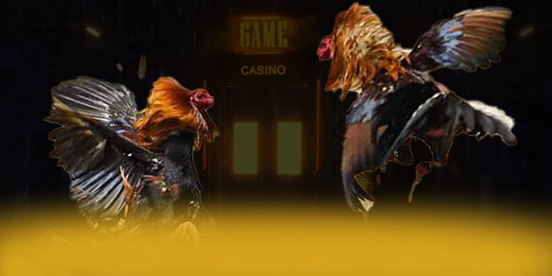 KUWIN – Sân chơi uy tín số 1, được cộng đồng đánh giá tích cực.