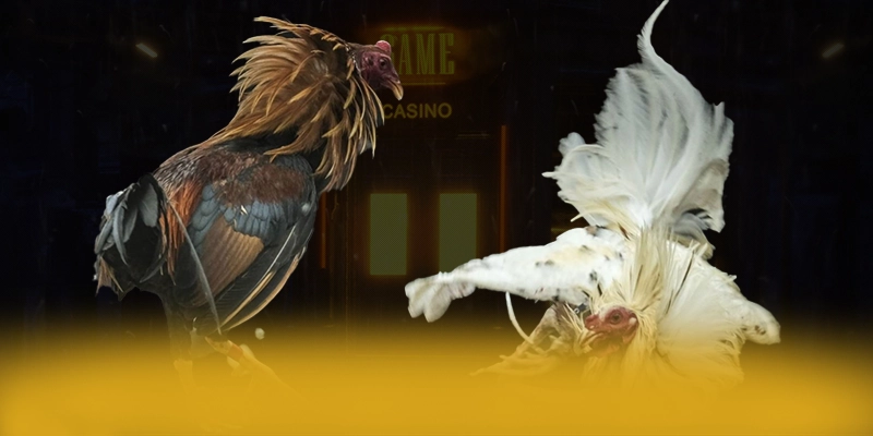 Vb777 - Cổng trò chơi có quà tặng đặc biệt hiện nay – Tìm hiểu khuyến mãi độc quyền của Vb777 Vb777 - Cổng trò chơi có quà tặng đặc biệt hiện nay – Tìm hiểu khuyến mãi độc quyền của Vb777