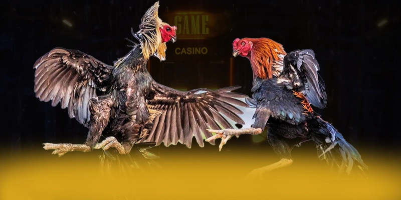 9Bet - Nền tảng cá cược trực tuyến có độ an toàn vượt trội trên thị trường – Tìm hiểu về độ tin cậy và bảo mật tại 9Bet 9Bet - Nền tảng cá cược trực tuyến có độ an toàn vượt trội trên thị trường – Tìm hiểu về độ tin cậy và bảo mật tại 9Bet