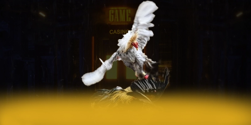 9Bet - Cổng game mượt mà được cộng đồng đánh giá cao 9Bet - Cổng game mượt mà được cộng đồng đánh giá cao