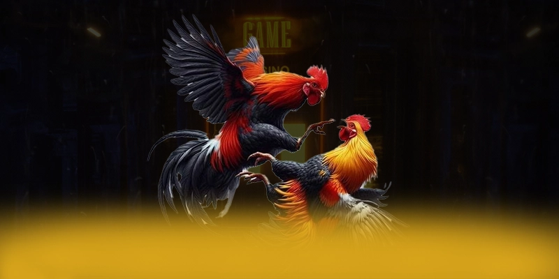 SUNWIN - Cổng game hiệu năng vượt trội tại Việt Nam