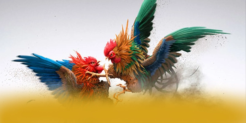 UU88 - Nhà cái được cộng đồng săn đón được giới cược thủ đánh giá cao – Tìm hiểu UU88