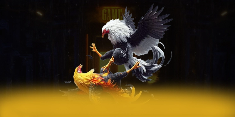 FAFA191 – Cổng game bài được tin dùng, được giới cược thủ đánh giá cao. FAFA191 – Cổng game bài được tin dùng, được giới cược thủ đánh giá cao.