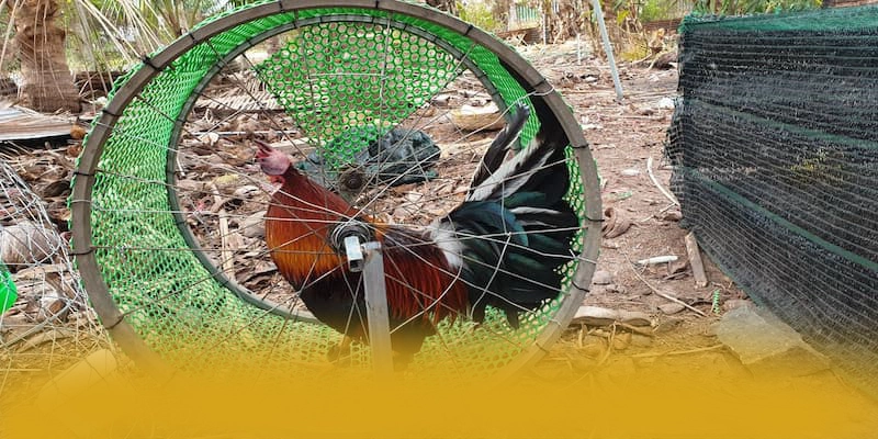 GEM88 - Nền tảng cá cược trực tuyến có độ an toàn vượt trội được giới chuyên môn đánh giá cao – Khám phá cam kết an toàn của GEM88