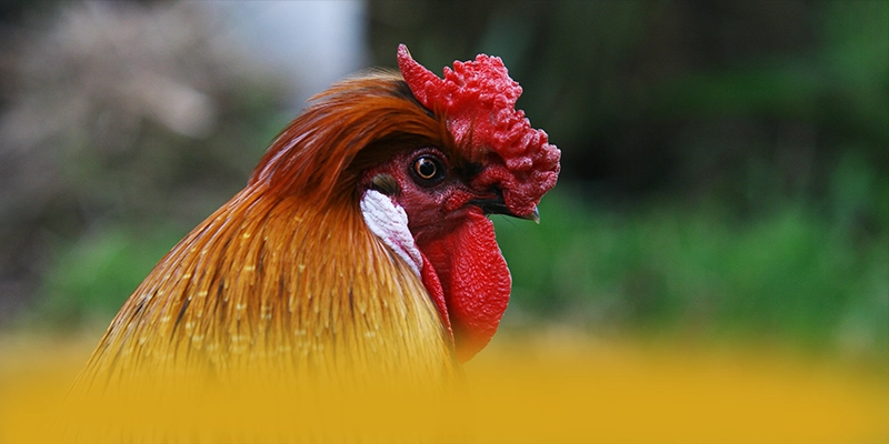 Cùng trải nghiệm UU88 - Cổng trò chơi đẳng cấp cho người chơi
Cùng trải nghiệm UU88 - Cổng trò chơi đẳng cấp cho người chơi